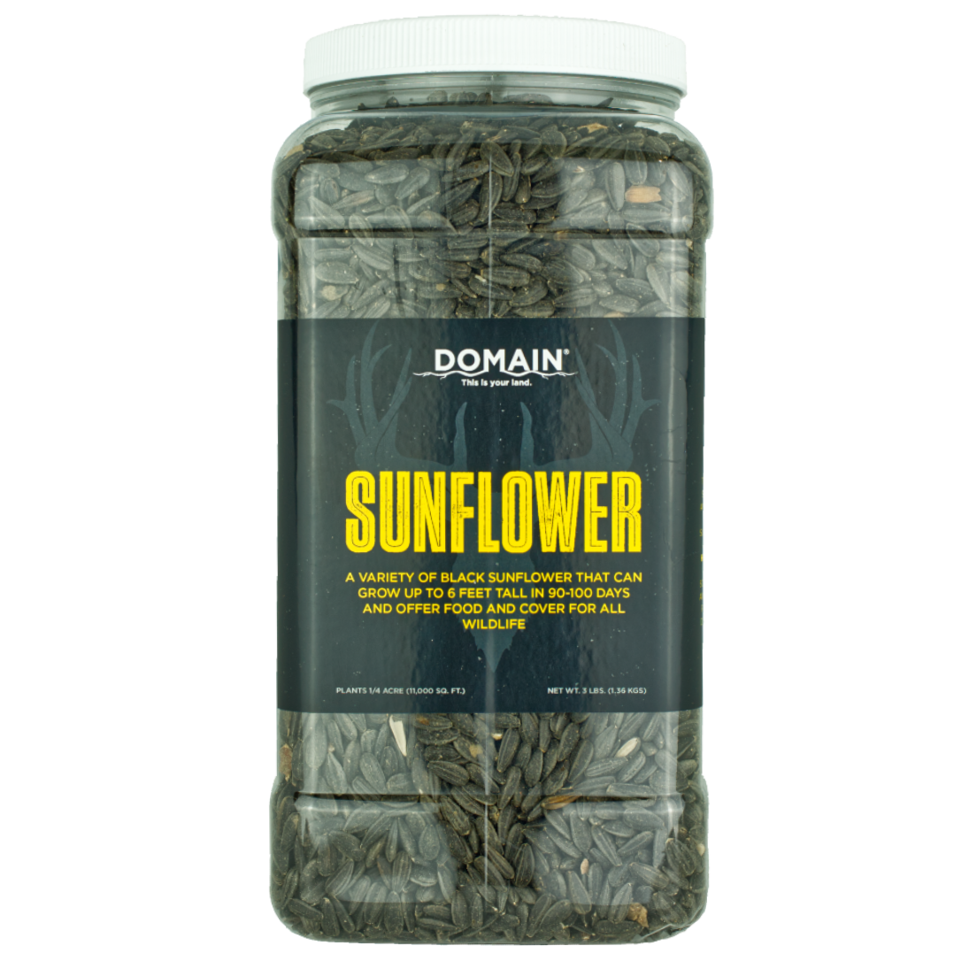Sunflower Food Plot Seed