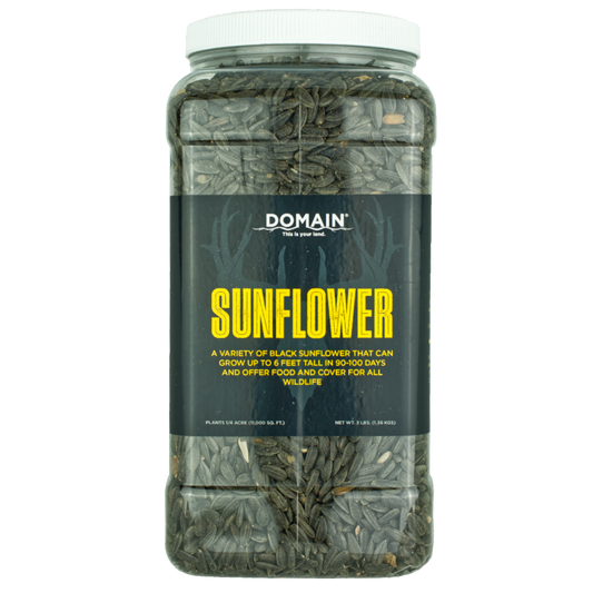 Sunflower Food Plot Seed
