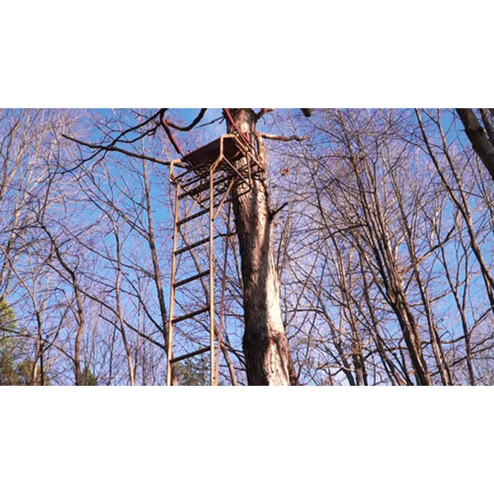 Trophy Treestands Gunny ladder stand installed on tree viewed from below against blue sky