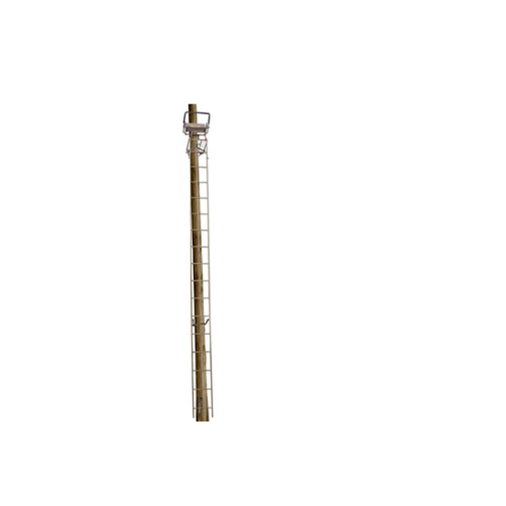 Trophy Treestands Spartan ladder stand shown installed on tall wooden pole, distant view