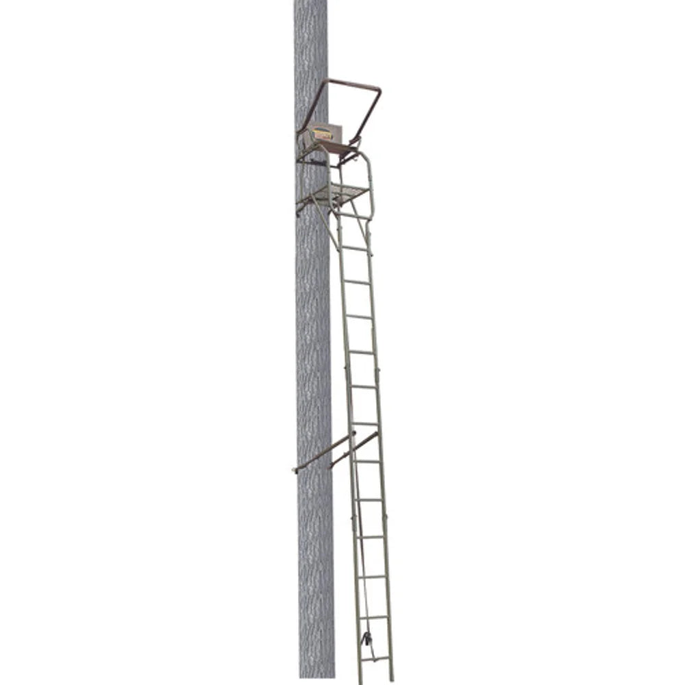 Trophy Treestands Strike Eagle ladder stand full-height view attached to tree showing ladder sections