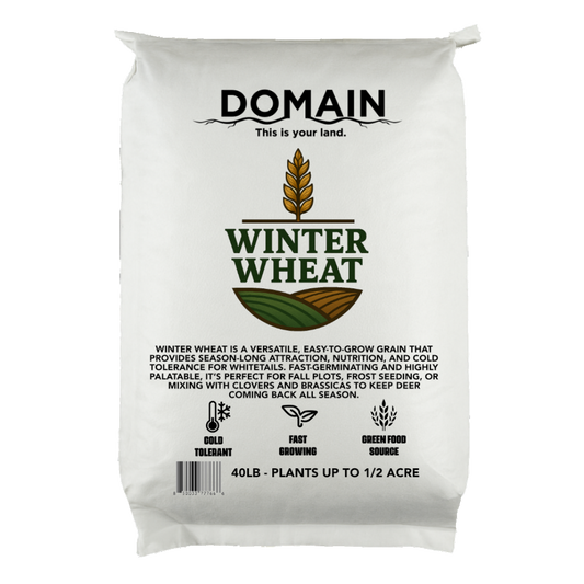 Winter Wheat Food Plot Seed