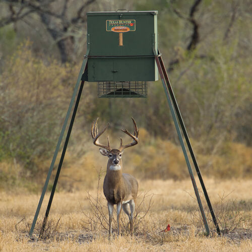 TF650L8: Texas Hunter 650 lb. Trophy Deer Corn Feeder with 8 Foot Legs